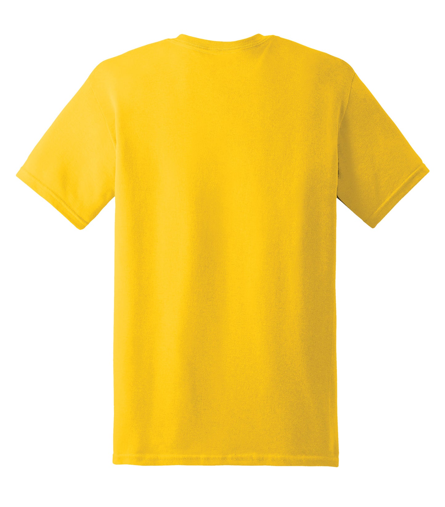 GILDANᴹᴰ T-SHIRT HEAVY COTTONᴹᶜ. 5000