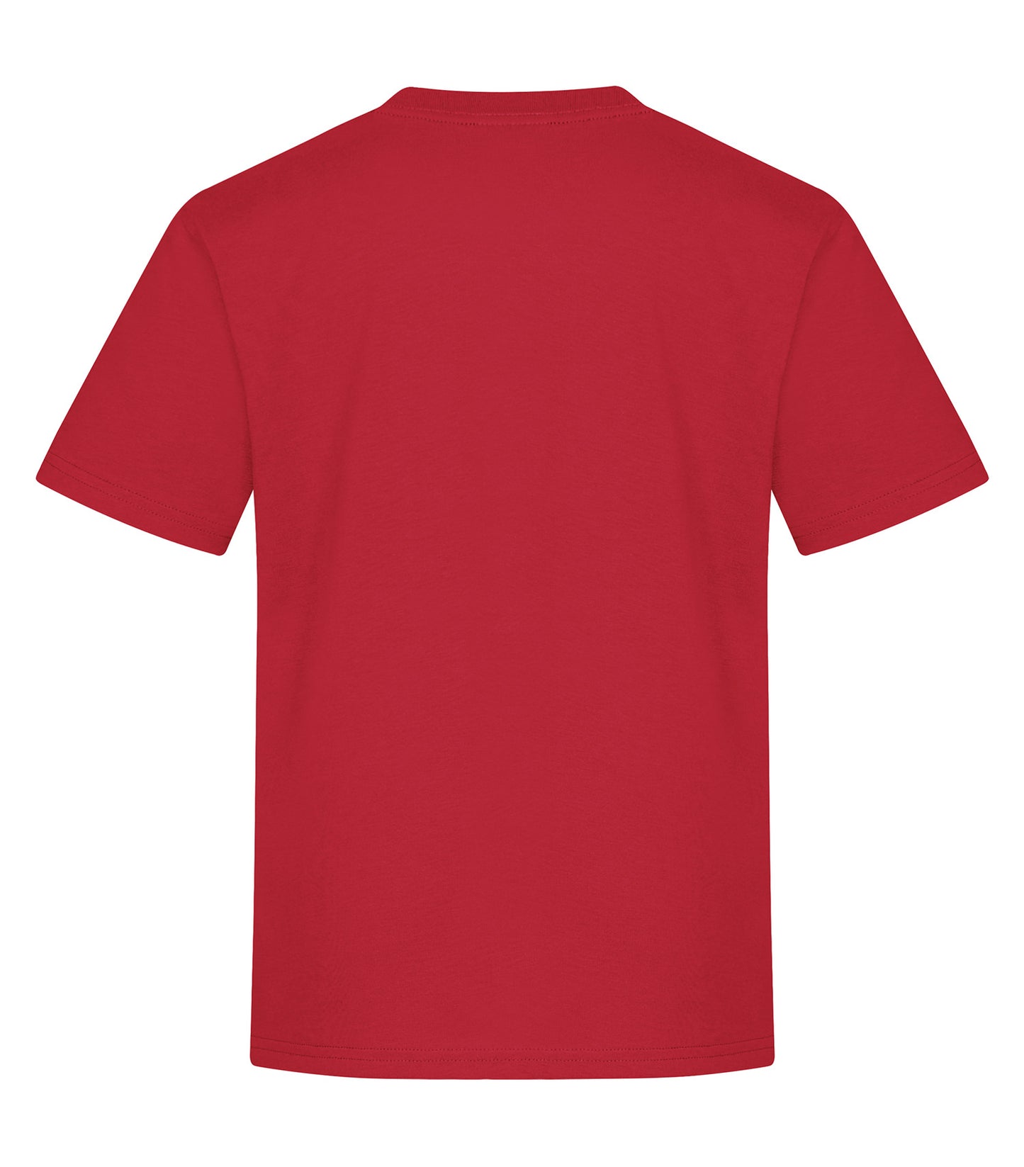ATCᴹᶜ T-SHIRT FILÉ EVERYDAY COTTON POUR JEUNES. ATC2000Y