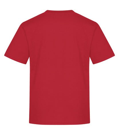 ATCᴹᶜ T-SHIRT FILÉ EVERYDAY COTTON POUR JEUNES. ATC2000Y